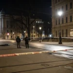 murder in Vienna